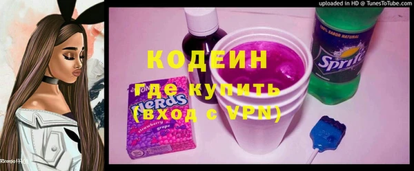 ГАЛЛЮЦИНОГЕННЫЕ ГРИБЫ Дмитриев