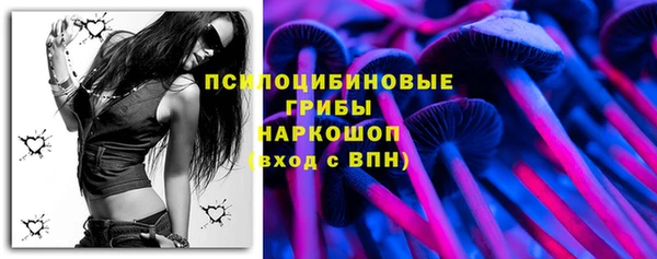 меф Гусев