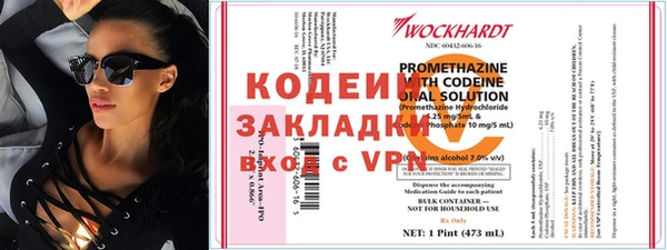 ГАЛЛЮЦИНОГЕННЫЕ ГРИБЫ Дмитриев