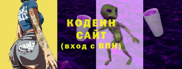 ГАЛЛЮЦИНОГЕННЫЕ ГРИБЫ Дмитриев
