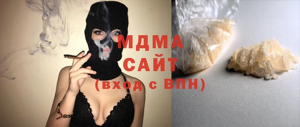 ГАЛЛЮЦИНОГЕННЫЕ ГРИБЫ Дмитриев