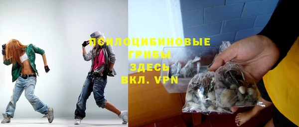 бошки Дмитровск