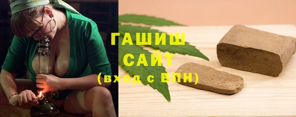 ГАЛЛЮЦИНОГЕННЫЕ ГРИБЫ Дмитриев