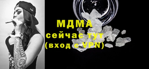 ГАЛЛЮЦИНОГЕННЫЕ ГРИБЫ Дмитриев