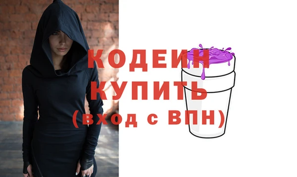 ГАЛЛЮЦИНОГЕННЫЕ ГРИБЫ Дмитриев
