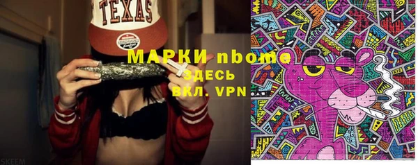 ГАЛЛЮЦИНОГЕННЫЕ ГРИБЫ Дмитриев