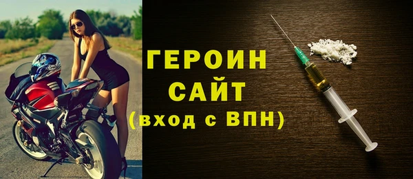 ГАЛЛЮЦИНОГЕННЫЕ ГРИБЫ Дмитриев