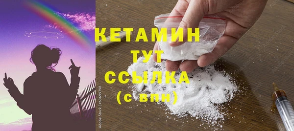 ГАЛЛЮЦИНОГЕННЫЕ ГРИБЫ Дмитриев