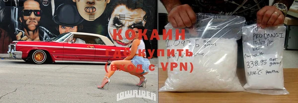 ГАЛЛЮЦИНОГЕННЫЕ ГРИБЫ Дмитриев