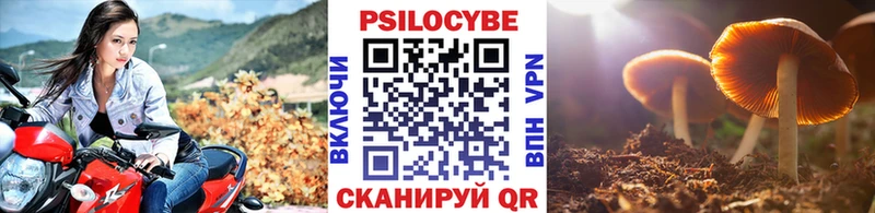 Псилоцибиновые грибы прущие грибы  Купить  Обоянь 